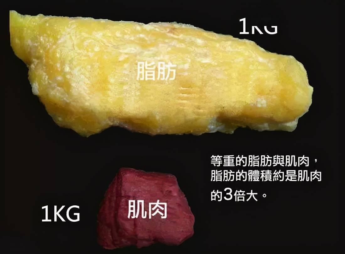 足球场上的规则,一场没有终点的博弈 足球场上的规则,一场没有终点的博弈