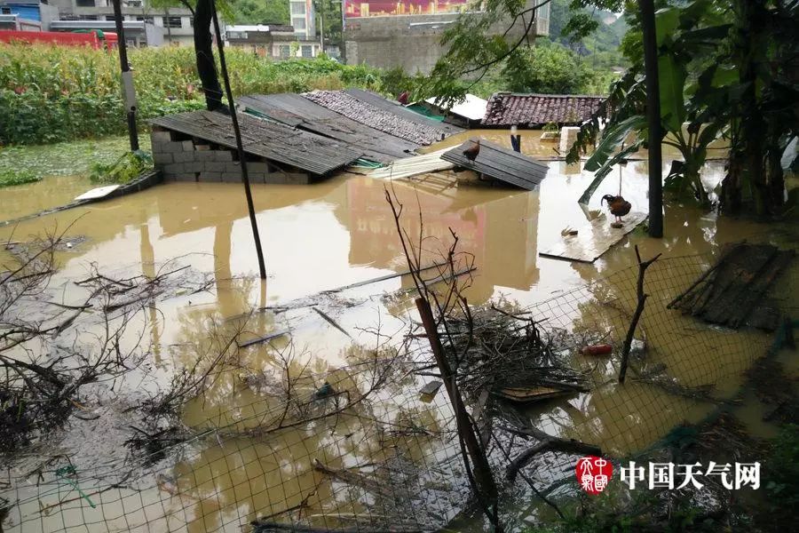 广西受灾居民讲述当地灾情