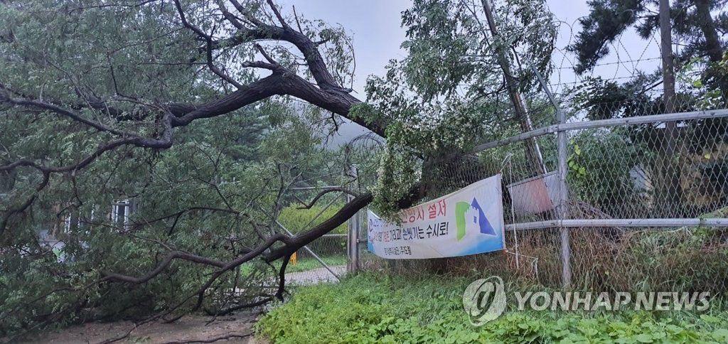 台风巴威远距离影响北京,一场不期而遇的自然课堂 台风巴威远距离影响北京,一场不期而遇的自然课堂