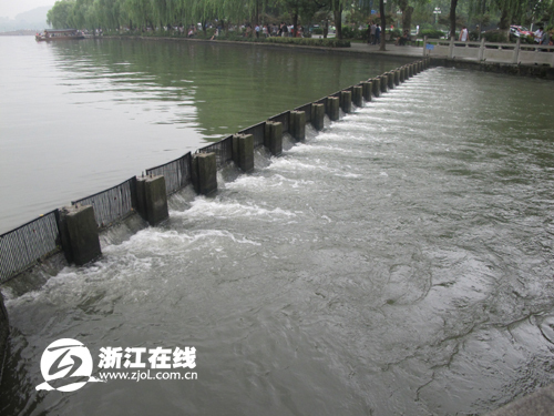 西湖放水,提前腾出库容,防台风的智慧之举 西湖放水,提前腾出库容,防台风的智慧之举