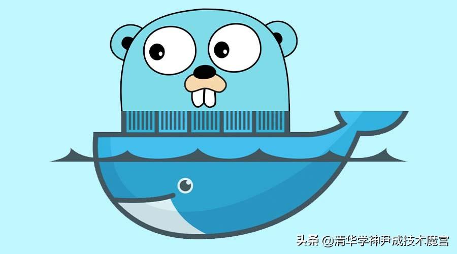 中国足球和日本足球到底差在哪里？一个 Golang 程序员用内存指针想明白的事